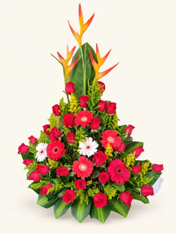 Arreglo de rosas rojas y gerberas rojas y claras, con heliconias y follaje. Sobre fondo crema.