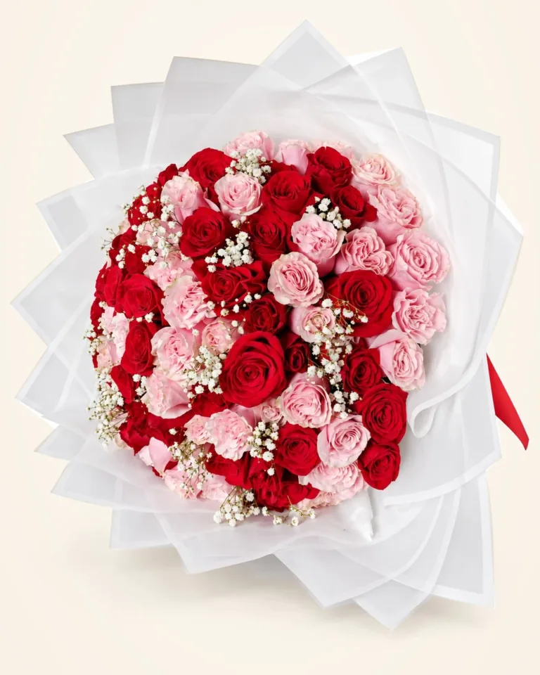 Bouquet de rosas rojas y rosadas en envoltura blanca