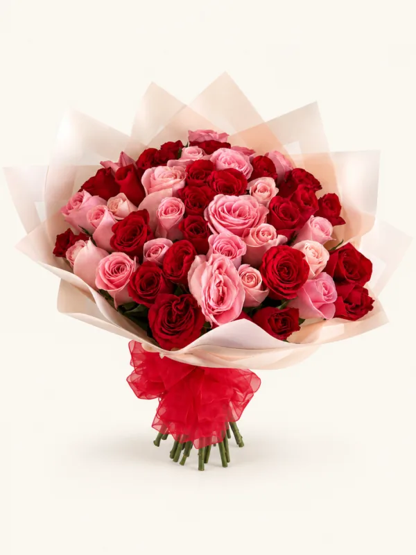 Buqué de rosas rojas y rosadas con envoltura en tonos claros y lazo rojo. Sobre fondo crema. en Pereira