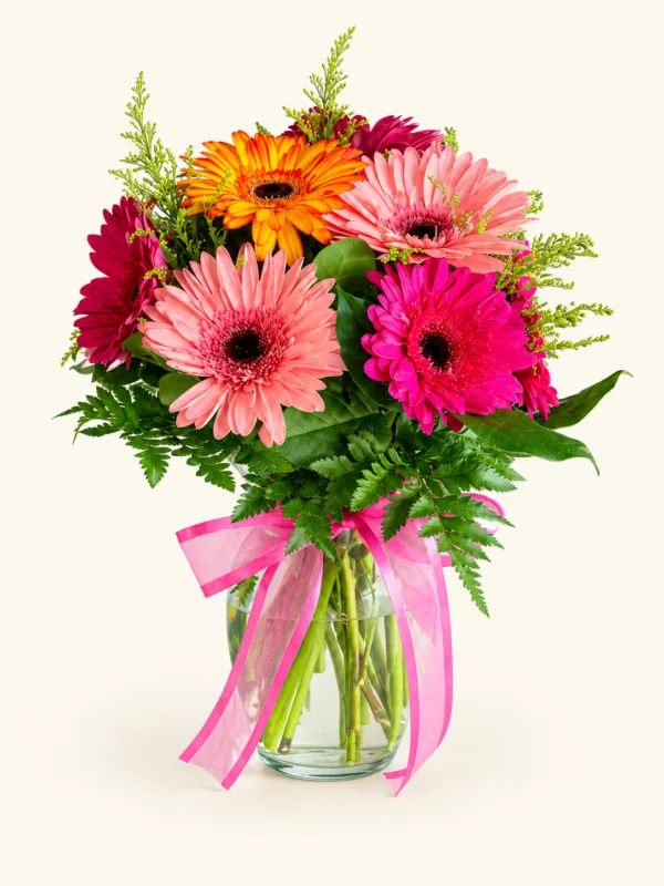 Arreglo de gerberas rosadas, fucsias y naranja con follaje, en jarrón de vidrio y lazo rosado. Sobre fondo crema. en Pereira